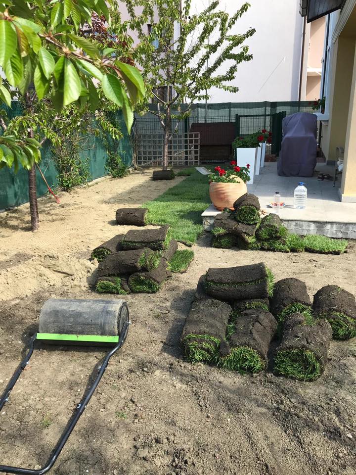 Montaj Gazon Natural și Artificial Iași