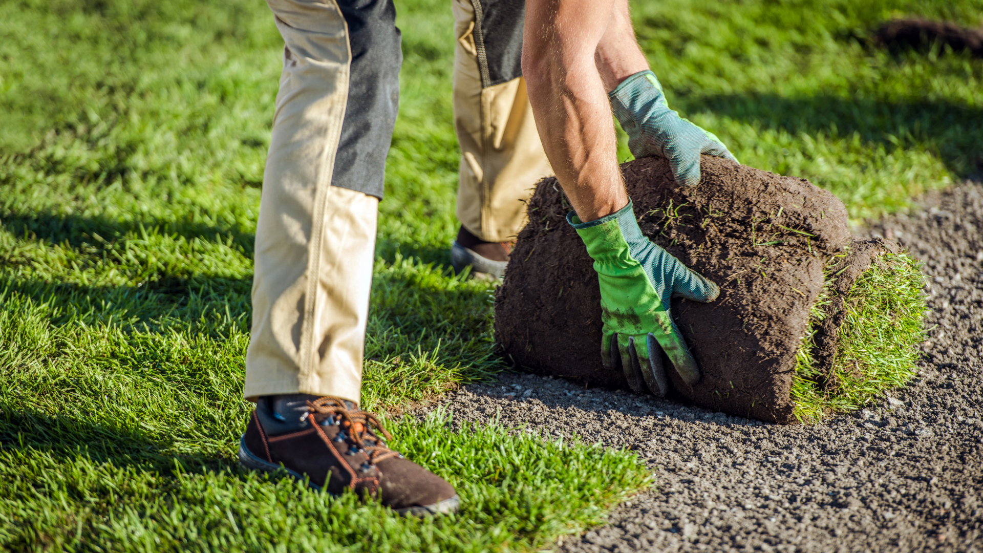 Imagine pentru articolul: Instalarea și întreținerea gazonului perfect